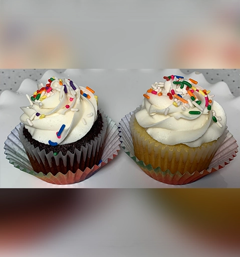 Two cupcakes with white frosting and colorful sprinkles.